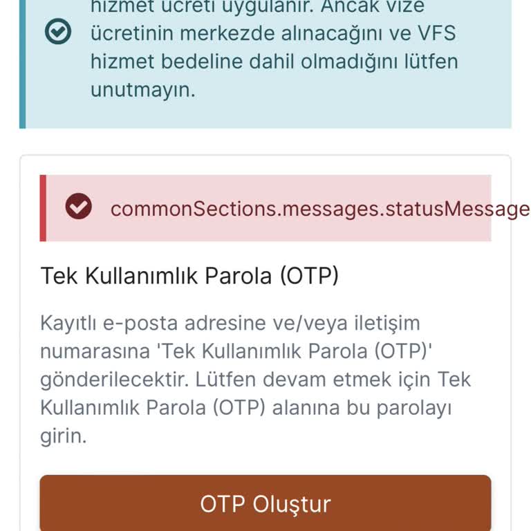 VFS Global Vize Randevu Sürecinde Yaşanan Sorunlar