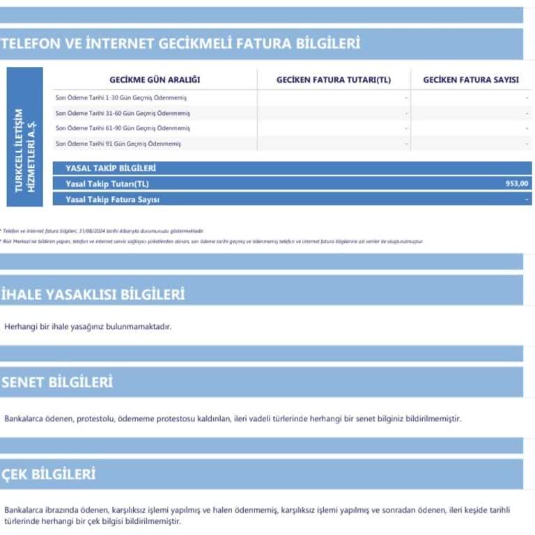 Ödeme Yapılmasına Rağmen Borçlu Görünme Sorunu