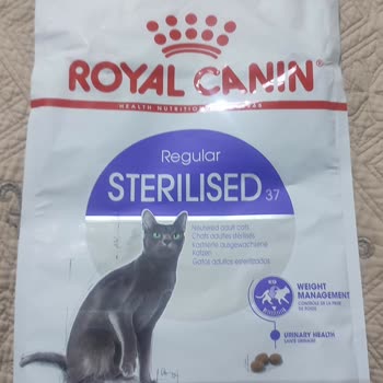 Şüpheli Kedi Maması Tehlikesi: Amazon'da