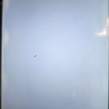 Reeder Garanti Kapsamındaki Telefon İçin Ücret Talebi Şoku