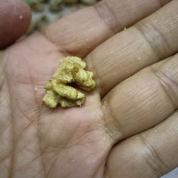 Tarım Kredi Market'ten Aldığım Ceviz Hayal Kırıklığı