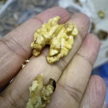 Tarım Kredi Market'ten Aldığım Ceviz Hayal Kırıklığı