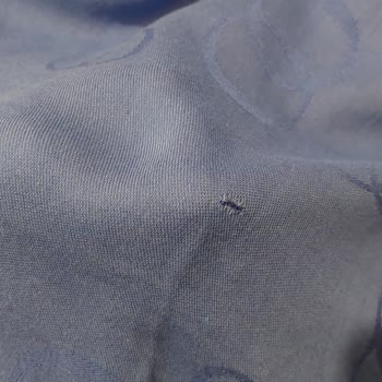 Delik Gelen Şal Hayal Kırıklığı