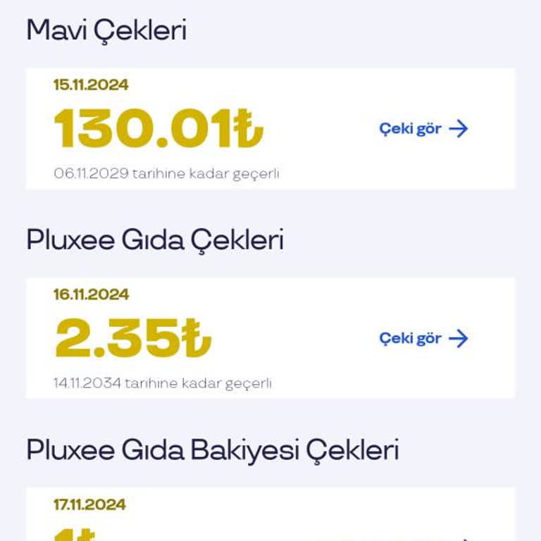 Sodexo Pluxsee Kart Uygulamasının Yetersizlikleri