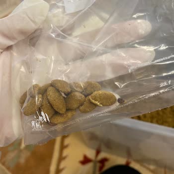 Köpeğime Kurtlu Mama Şoku: Güven Kaybı Ve Telafi Talebi