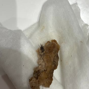 Burger King'de Big King Skandalı: Etin İçinden Çıkan Hayvan Kılı