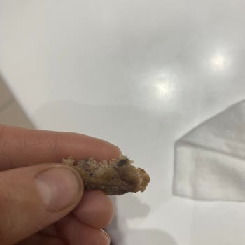 Burger King'de Big King Skandalı: Etin İçinden Çıkan Hayvan Kılı