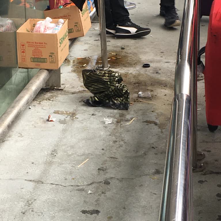 Havalimanı Çevresindeki Temizlik Sorunu