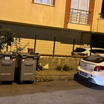 Çöp Kovasının Fazlalığı Ve Koku Sorunu