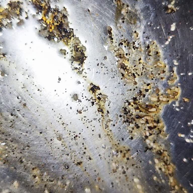 Kahve Makinesinde Kurt Problemi: Sağlık Tehdidi