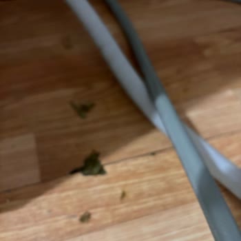 Vestel Bulaşık Makinesi Su Sızıntısı Parkelere Zarar Verdi