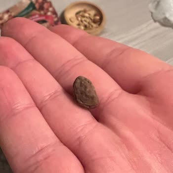 Kuruyemiş Paketinden Çıkan Taş Dişimi Kırıyordu!