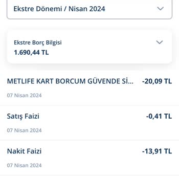Denizbank Ve Metlife'ın Beklenmedik Borçlandırması