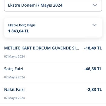 Denizbank Ve Metlife'ın Beklenmedik Borçlandırması