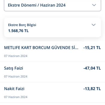 Denizbank Ve Metlife'ın Beklenmedik Borçlandırması