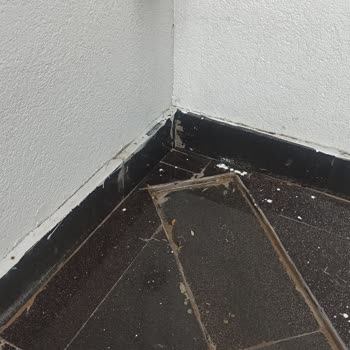 Proje Dairelerinde Yalıtım ve Su Sızıntısı Şikayeti