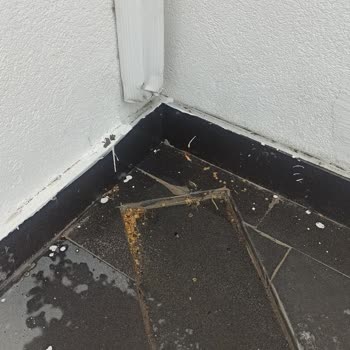 Proje Dairelerinde Yalıtım ve Su Sızıntısı Şikayeti