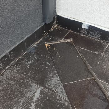 Proje Dairelerinde Yalıtım ve Su Sızıntısı Şikayeti