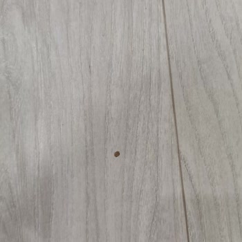 Suya Dayanıklı Olduğu İddia Edilen Parkelerin Suya Dayanamaması