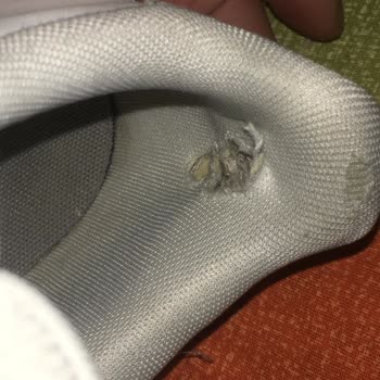 Adidas Ayakkabının Hızla Deformasyonu Ve İade Sorunu