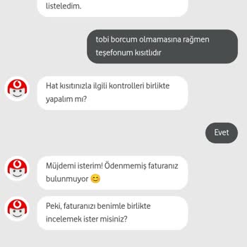 Borçsuz Hat Kısıtlaması Sorunu
