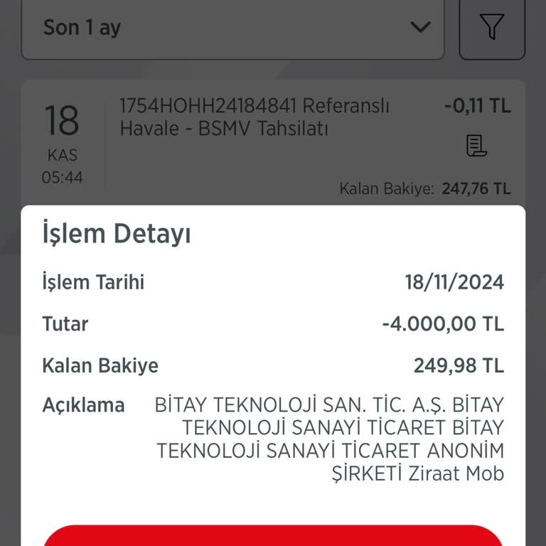 Para Transferi Sorunu Ve Acil Destek İhtiyacı