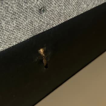 Kelebek Mobilya'nın Yavaş Servis Süreci Ve Kullanılamayan Yatak