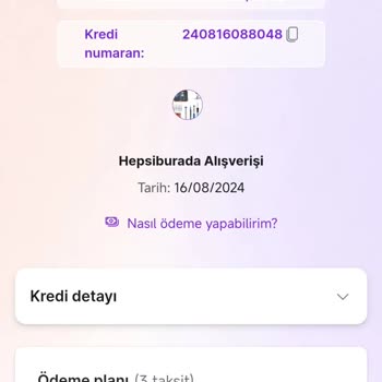 Kredi Ödemesi Sistem Hatası: Mağduriyet Ve Çözüm Arayışı