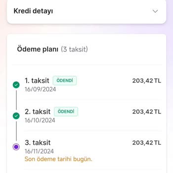 Kredi Ödemesi Sistem Hatası: Mağduriyet Ve Çözüm Arayışı