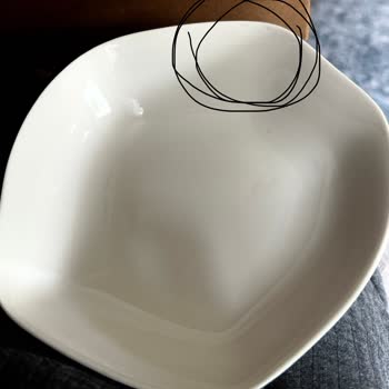 Porland Vajilla, problemas de calidad persistentes