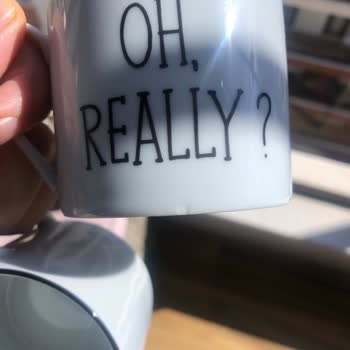 Recibí mi juego de tazas de té Porland dañado