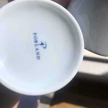 Recibí mi juego de tazas de té Porland dañado