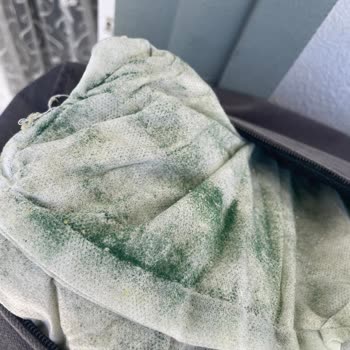 Vivense Köşe Koltukta Sağlık Sorunlarına Yol Açan Dolgu Malzemesi Problemi