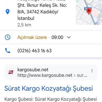 Kedimin İlacı Gecikti: Sürat Kargo Ve Trendyol Güven Sorunu