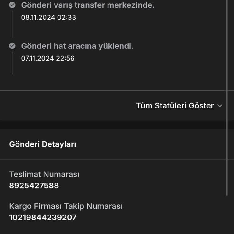 Kayıp Kargo: Sürat Kargo'nun Sorumluluğu Nerede?