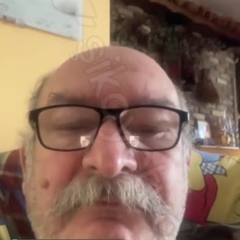 Hayvansever Olmayan Kargo Sürat Kargo