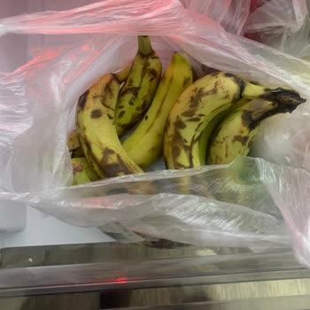 Arçelik Buzdolabında Kalıcı Koku Ve Bozulma Sorunu