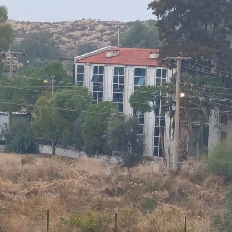 Gediz Elektrik'in Sokak Lambası Kaosu: Gece Karanlığına Son!