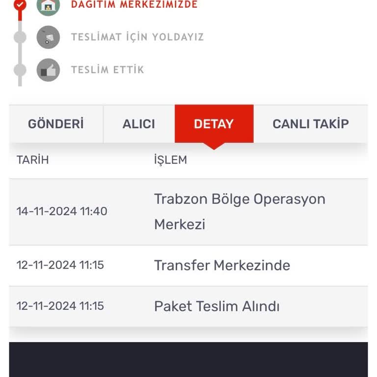 Kayıp Kargo: Teslimat Gecikmesi Ve İletişim Sorunu