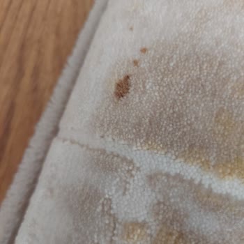 Gümüşsuyu Halıdaki Leke Problemi Ve Çözüm Eksikliği