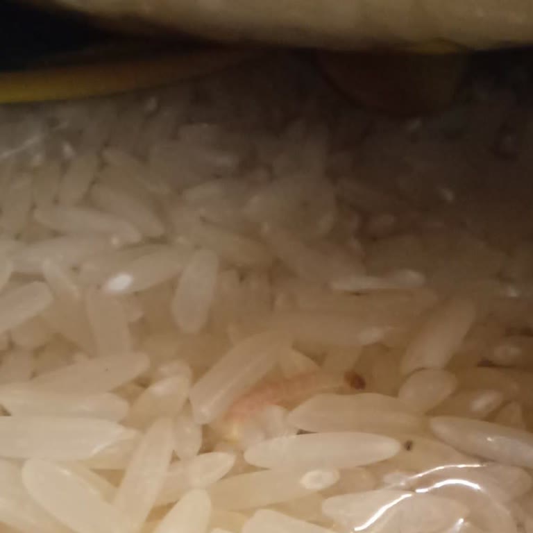 A101 Çalışanlarının Hediye Kartı Hileleri Ve Bozuk Ürünler