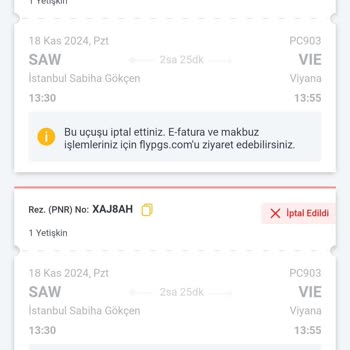 Pegasus Havayolları'nda İsim Hatası Ve Çözüm Süreci Sorunu