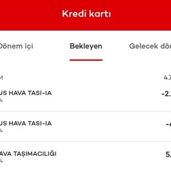 Pegasus Havayolları'nda İsim Hatası Ve Çözüm Süreci Sorunu