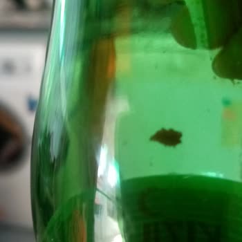 Kızılay Maden Suyunda Şaşırtıcı Bir Madde: Güven Sarsıcı Deneyim