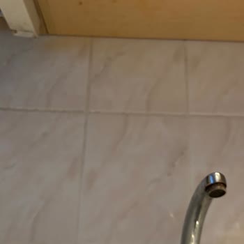 Temizlikgonder.com Bu firmadan hizmet aldığım için çok pişmanım!