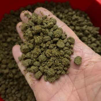 Kedim İçin Aldığım Mama Toz Halinde Geldi, Mağduriyetimin Giderilmesini İstiyorum