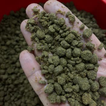 Kedim İçin Aldığım Mama Toz Halinde Geldi, Mağduriyetimin Giderilmesini İstiyorum