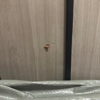 Mağduriyet Üstüne Mağduriyet: Kırık Ürün, Kayıp Kargo, İlgisiz Firmalar