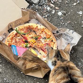 Agresif Çalışan Ve Malzemesiz Pizza Deneyimi