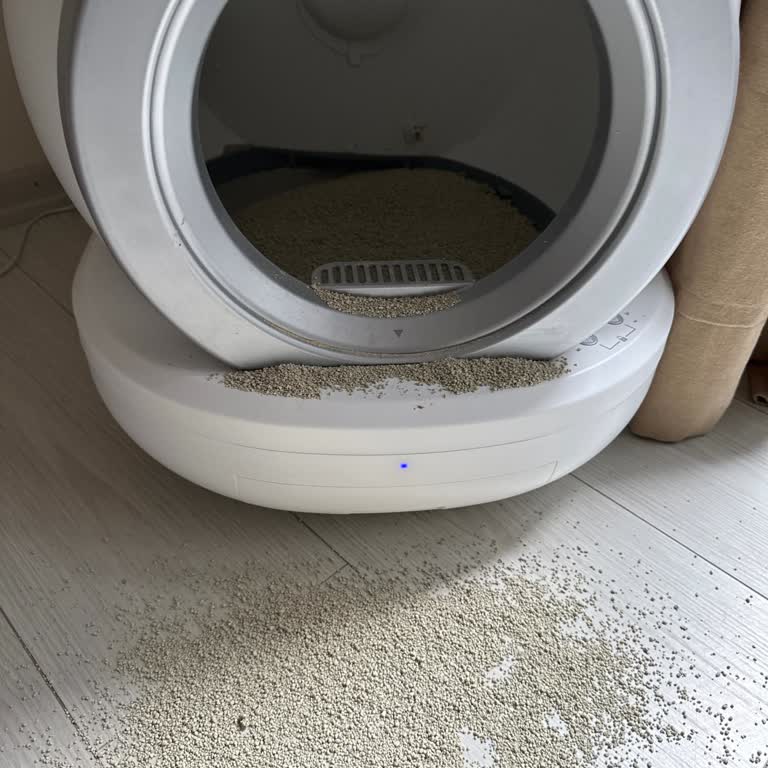 Otomatik Kedi Tuvaleti: Hayal Kırıklığı Ve Güvenlik Endişeleri